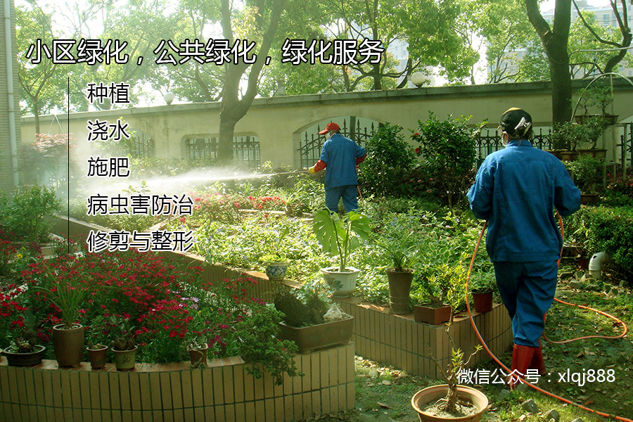 小區(qū)綠化，公共綠化，綠化服務(wù)